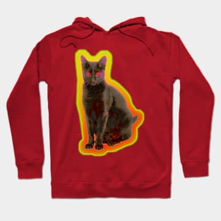 Glow Cat Hoodie